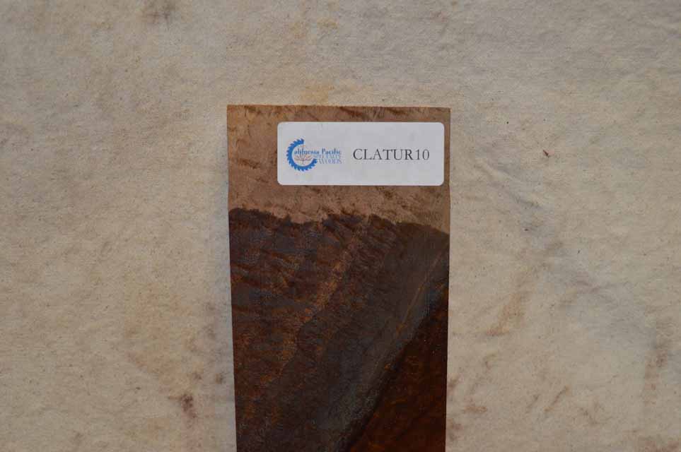 Claro Walnut Turning Blank CLATUR9