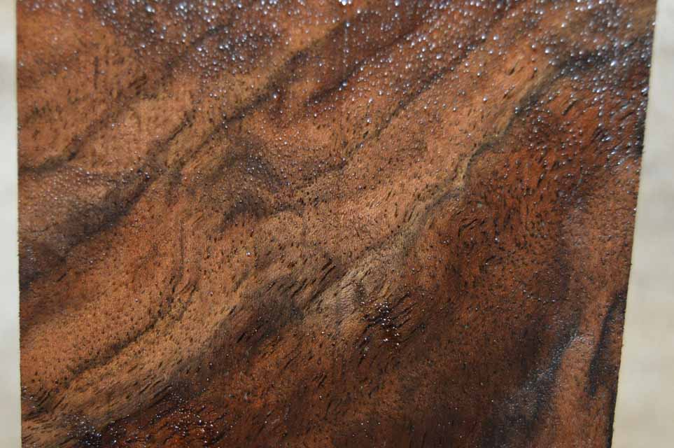 Claro Walnut Turning Blank CLATUR9