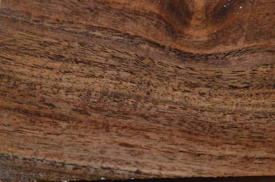 Claro Walnut Turning Blank CLATUR13