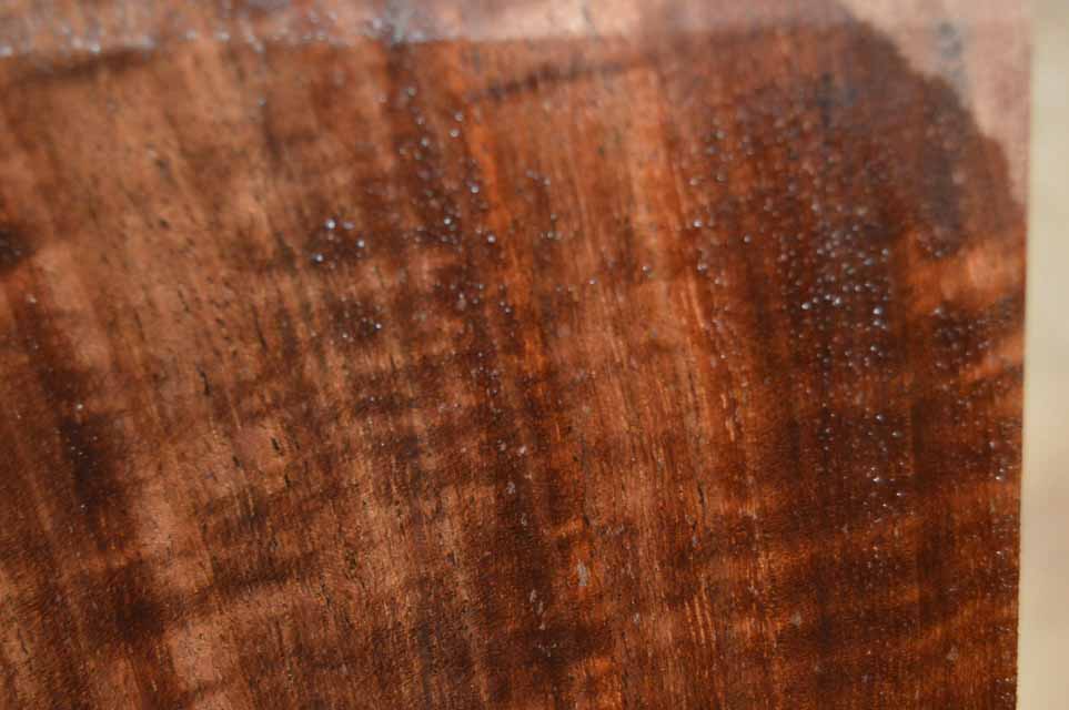 Claro Walnut Turning Blank CLATUR25