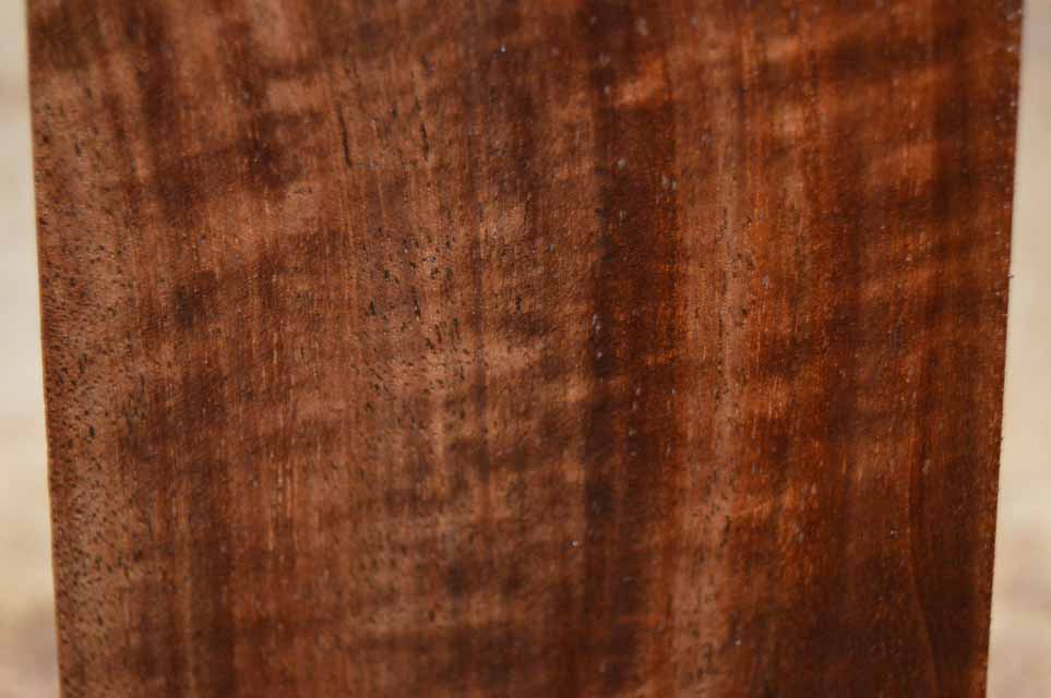 Claro Walnut Turning Blank CLATUR25