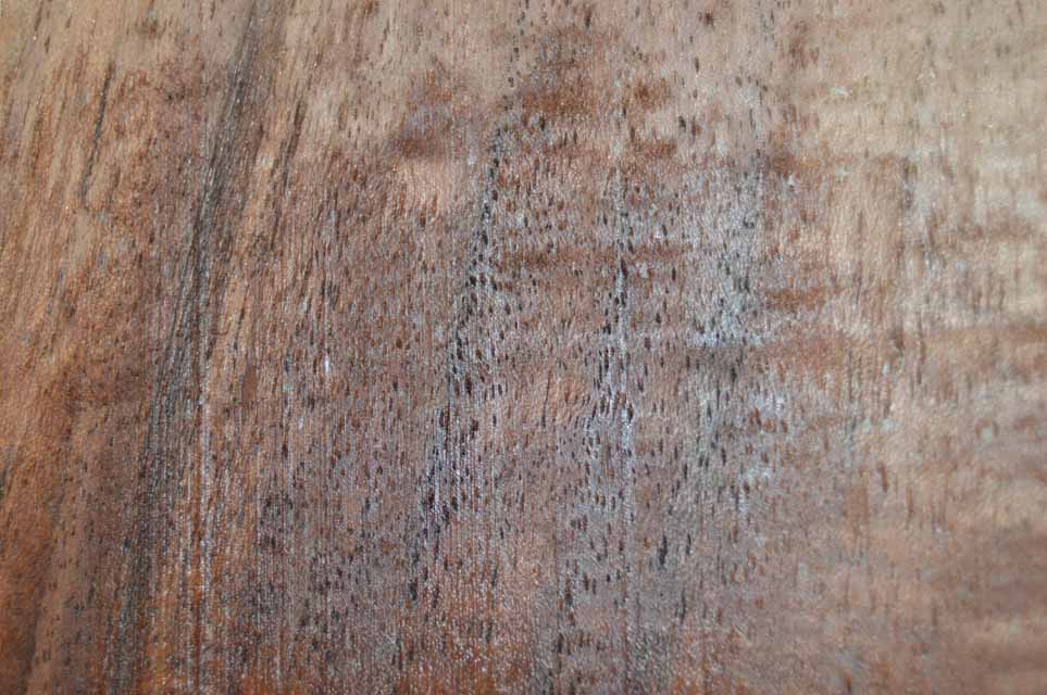 Claro Walnut Turning Blank CLATUR40