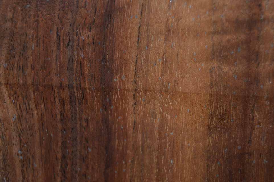 Claro Walnut Turning Blank CLATUR40