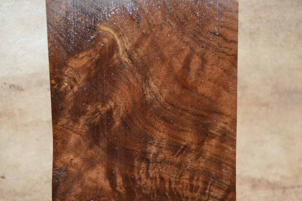 Claro Walnut Turning Blank CLATUR36