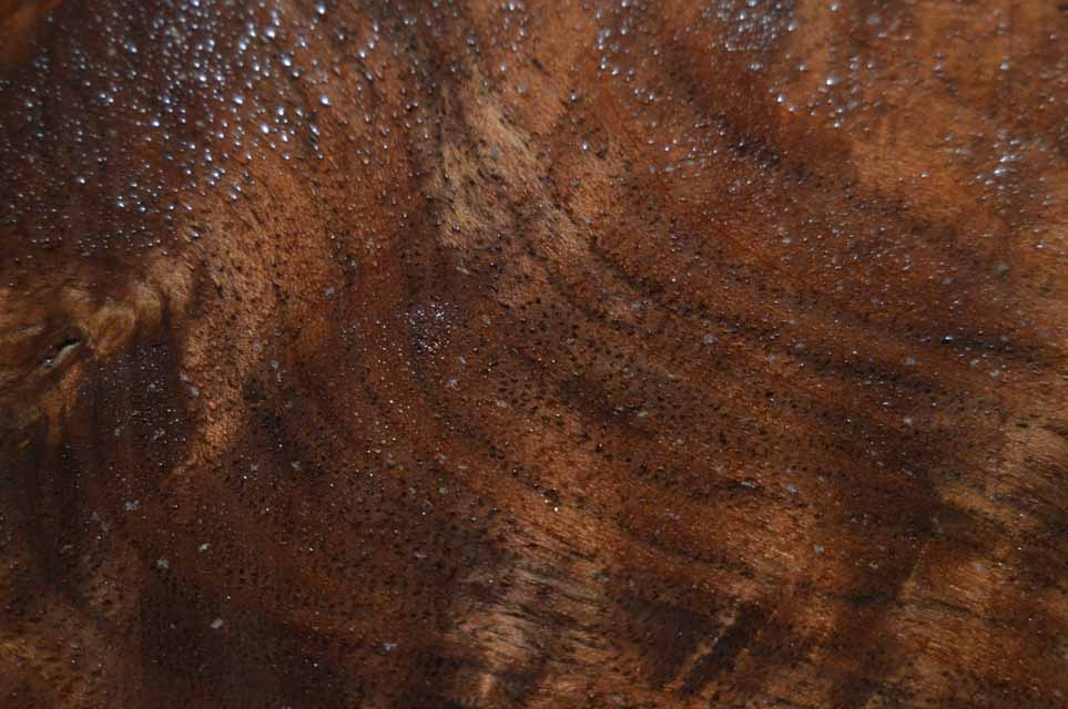 Claro Walnut Turning Blank CLATUR36