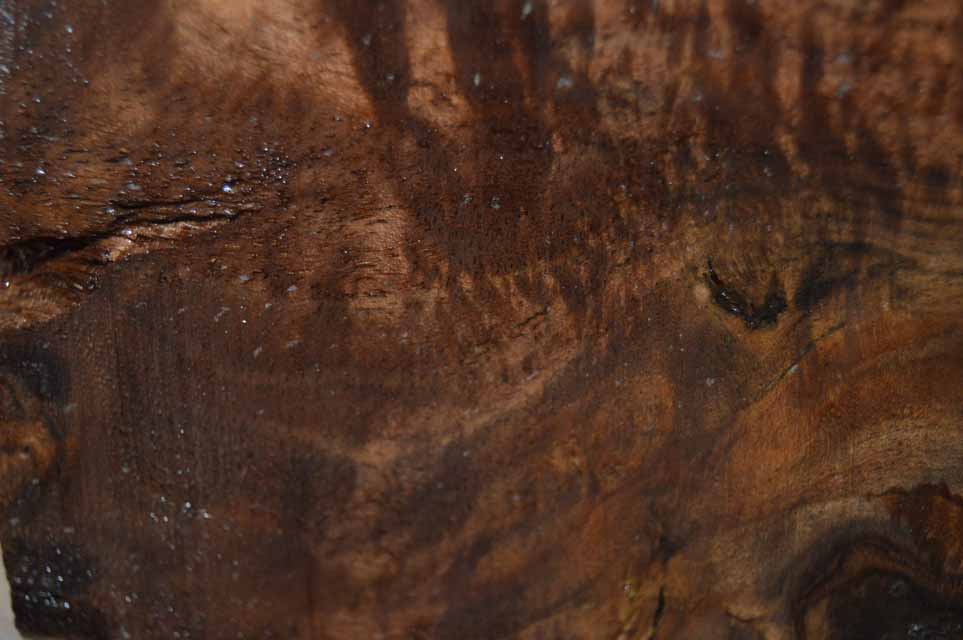 Claro Walnut Turning Blank CLATUR36