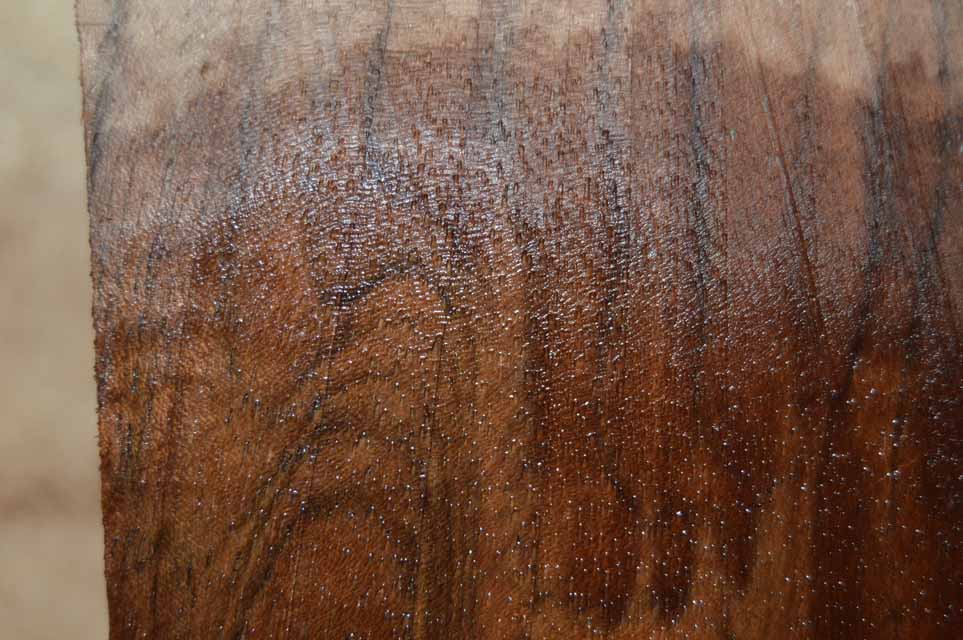 Claro Walnut Turning Blank CLATUR38