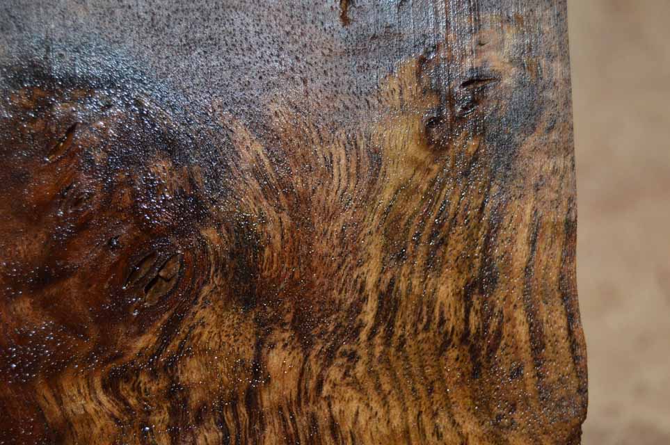 Claro Walnut Turning Blank CLATUR48