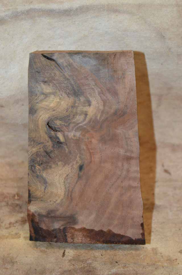 Claro Walnut Turning Blank CLATUR49