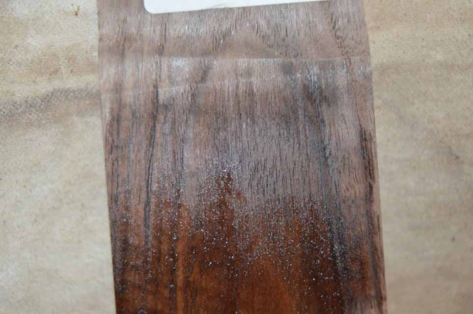 Claro Walnut Turning Blank CLATUR53