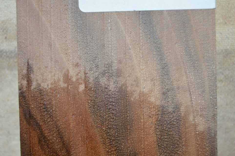 Claro Walnut Turning Blank CLATUR55