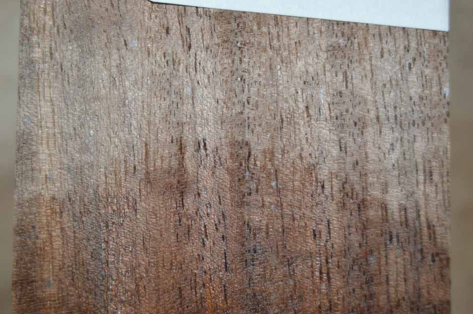 Claro Walnut Turning Blank CLATUR58
