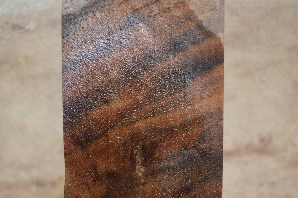 Claro Walnut Turning Blank CLATUR66