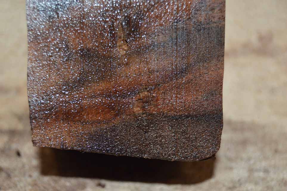 Claro Walnut Turning Blank CLATUR66