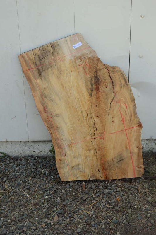 Maple Board MAPSPC35
