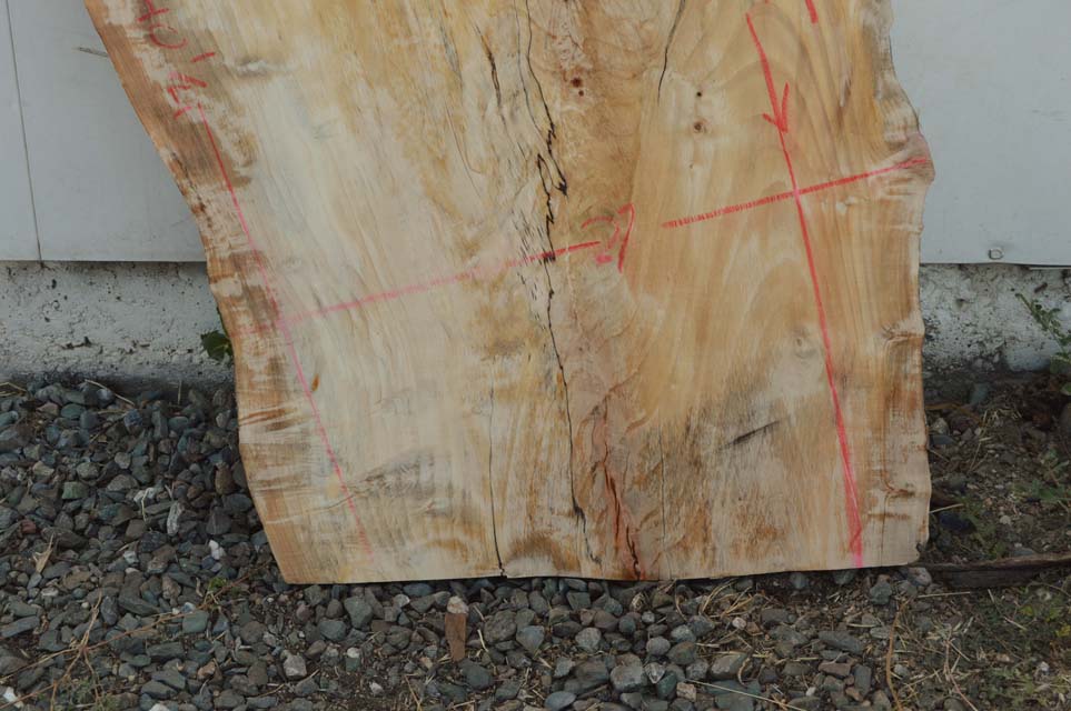 Maple Board MAPSPC35