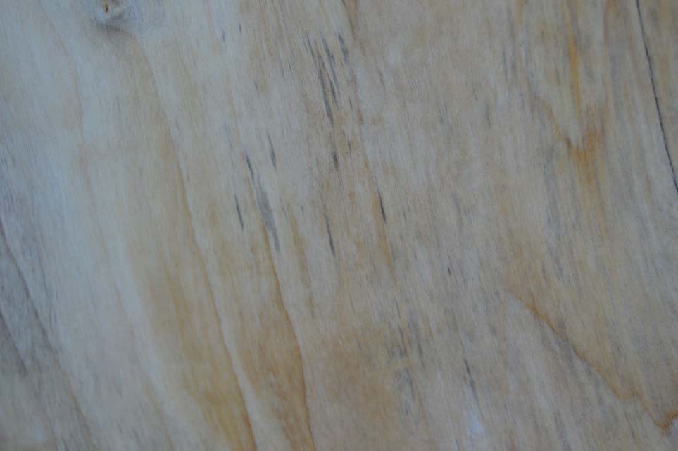 Maple Board MAPSPC35