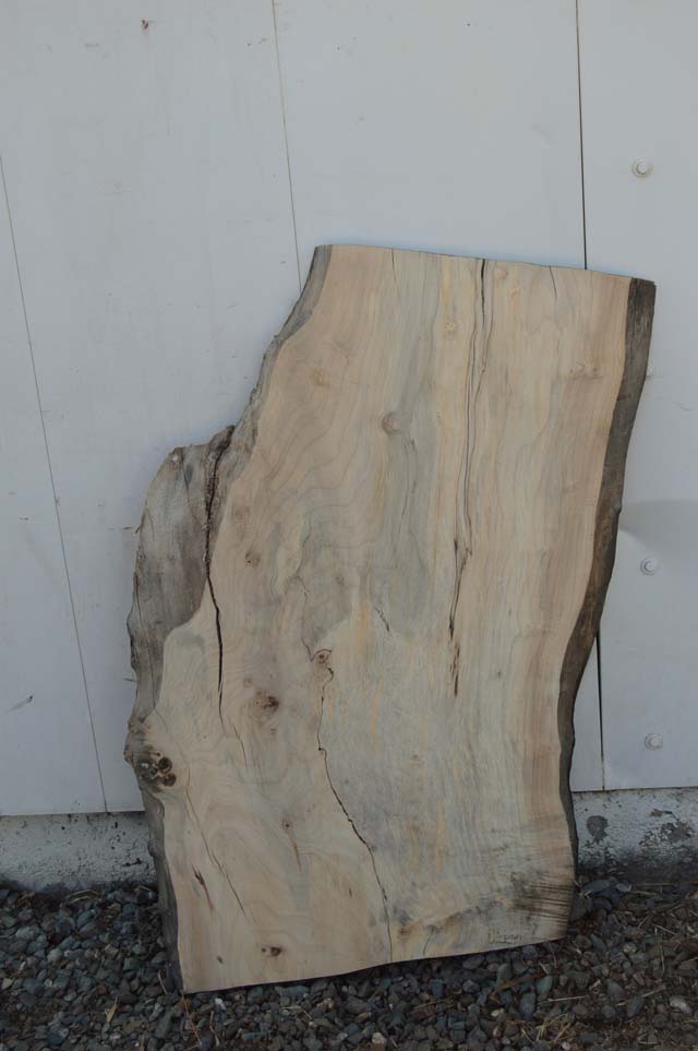 Maple Board MAPSPC35