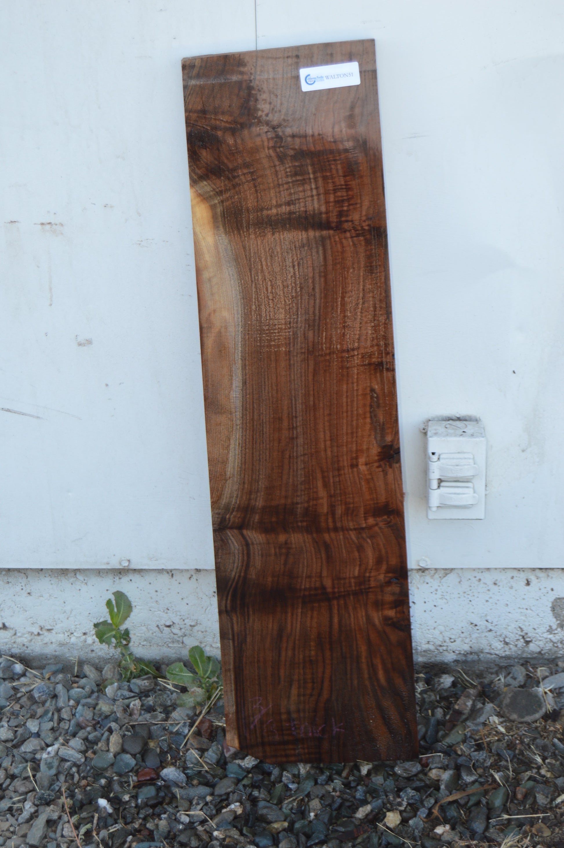 Claro Walnut Tonewood WALTON51