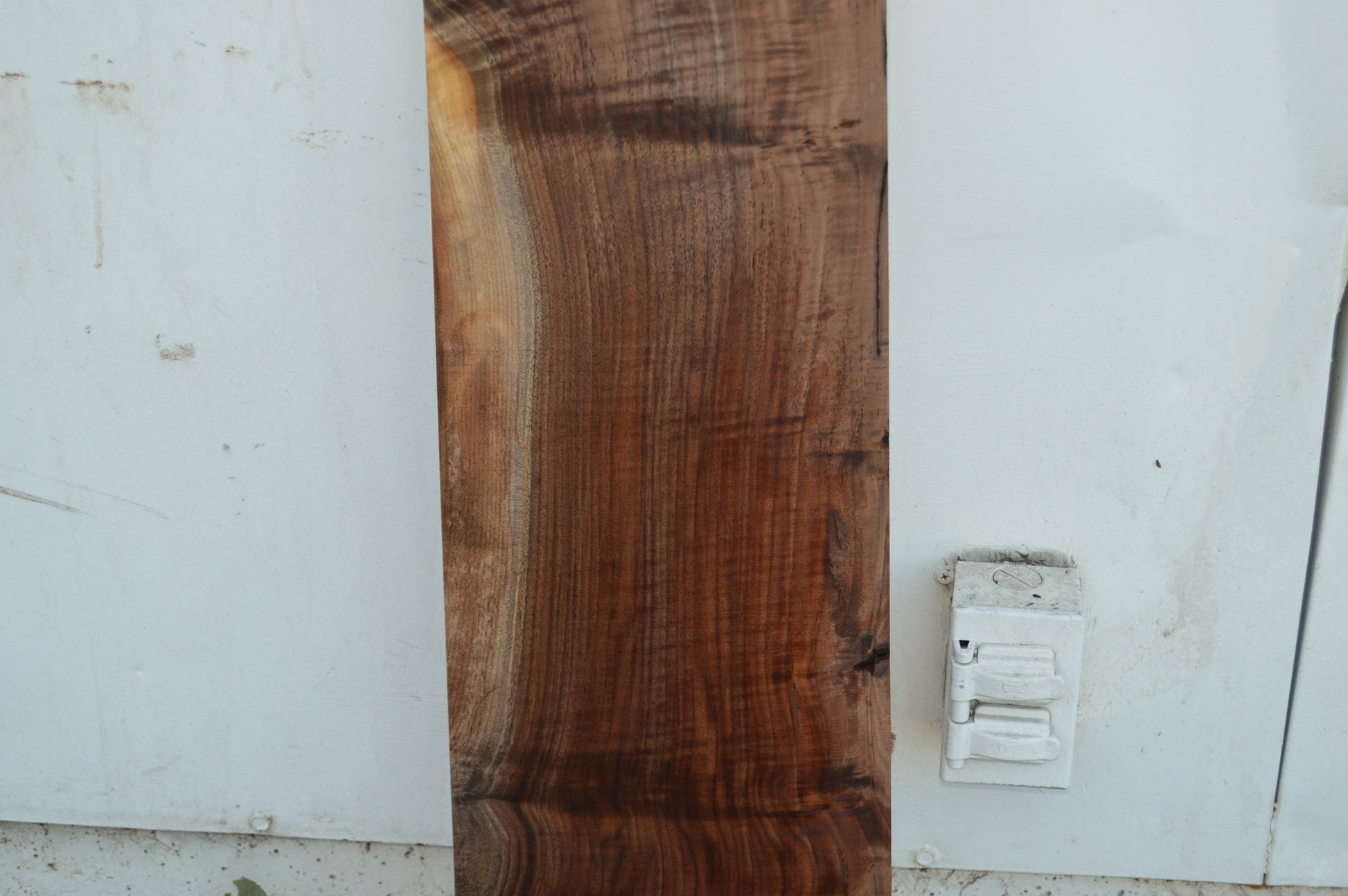 Claro Walnut Tonewood WALTON51