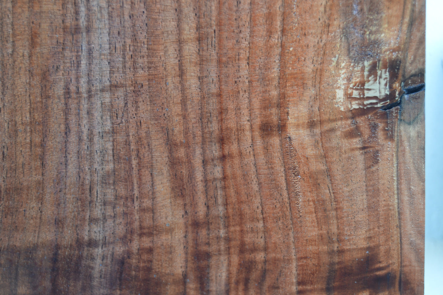 Claro Walnut Tonewood WALTON51