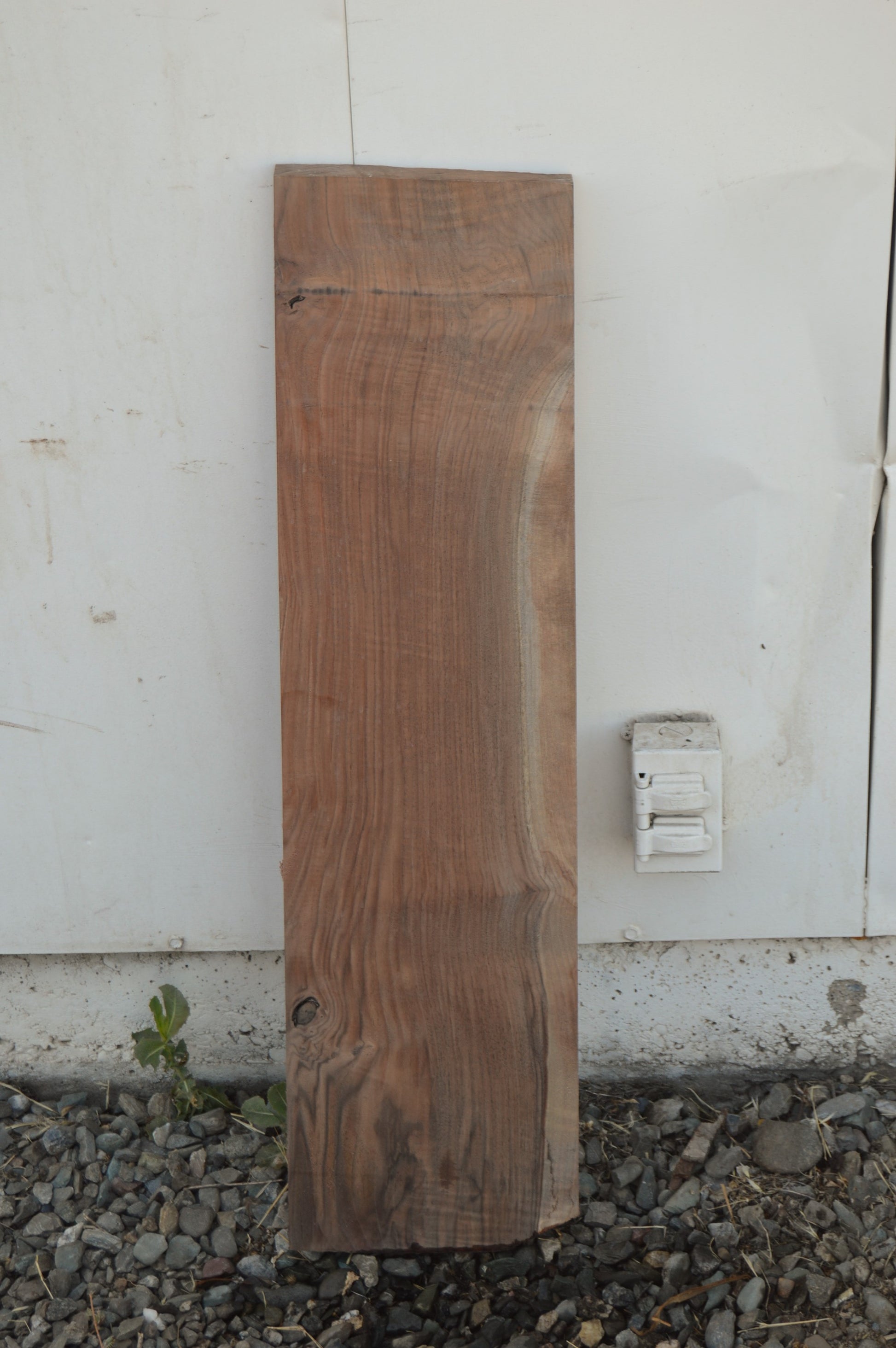 Claro Walnut Tonewood WALTON51
