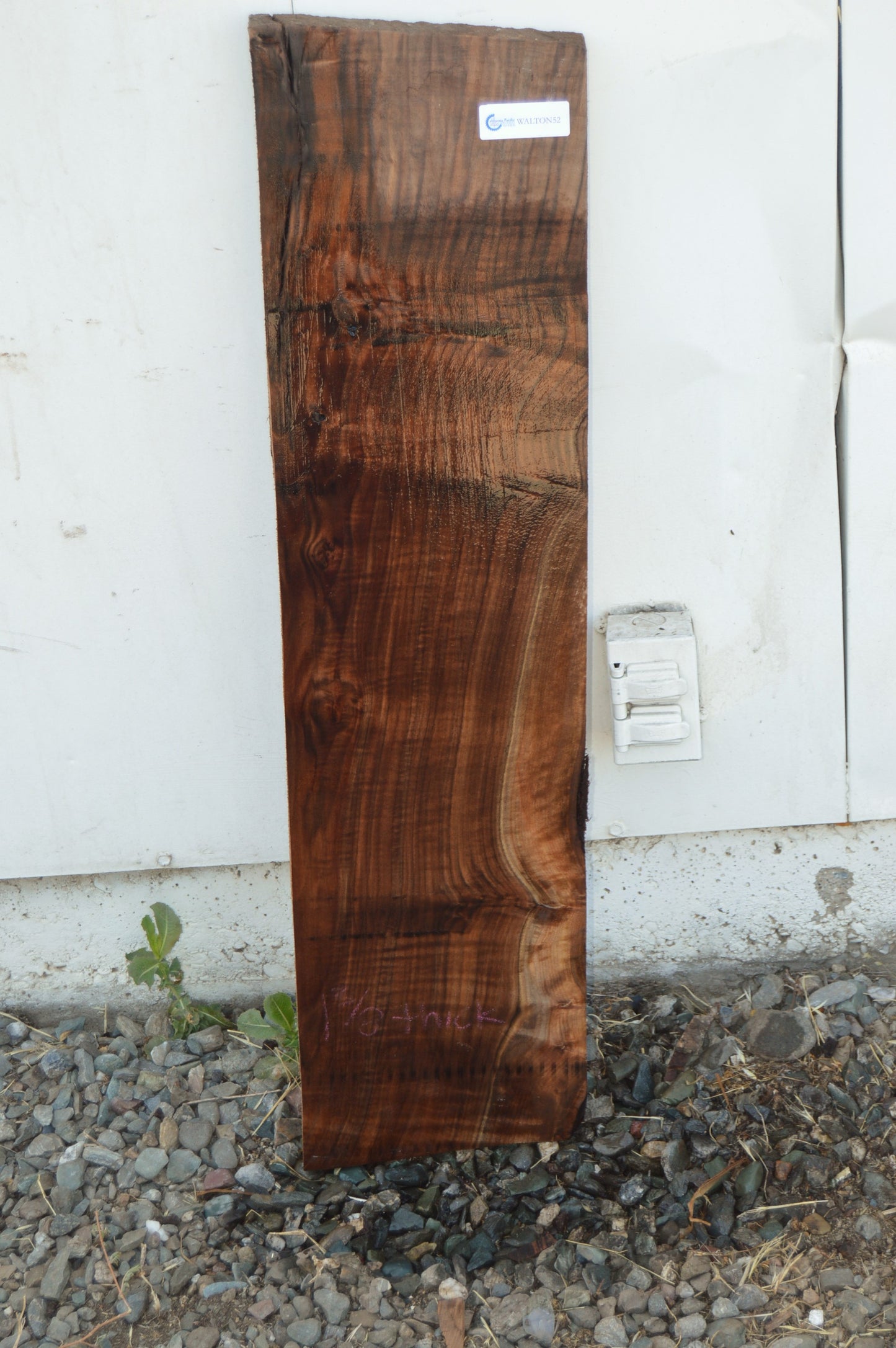Claro Walnut Tonewood WALTON52