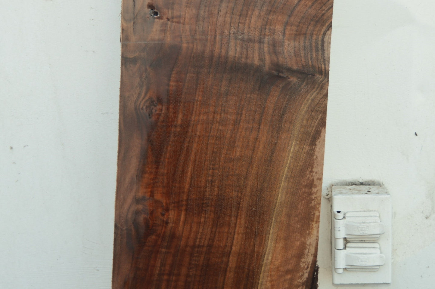 Claro Walnut Tonewood WALTON52