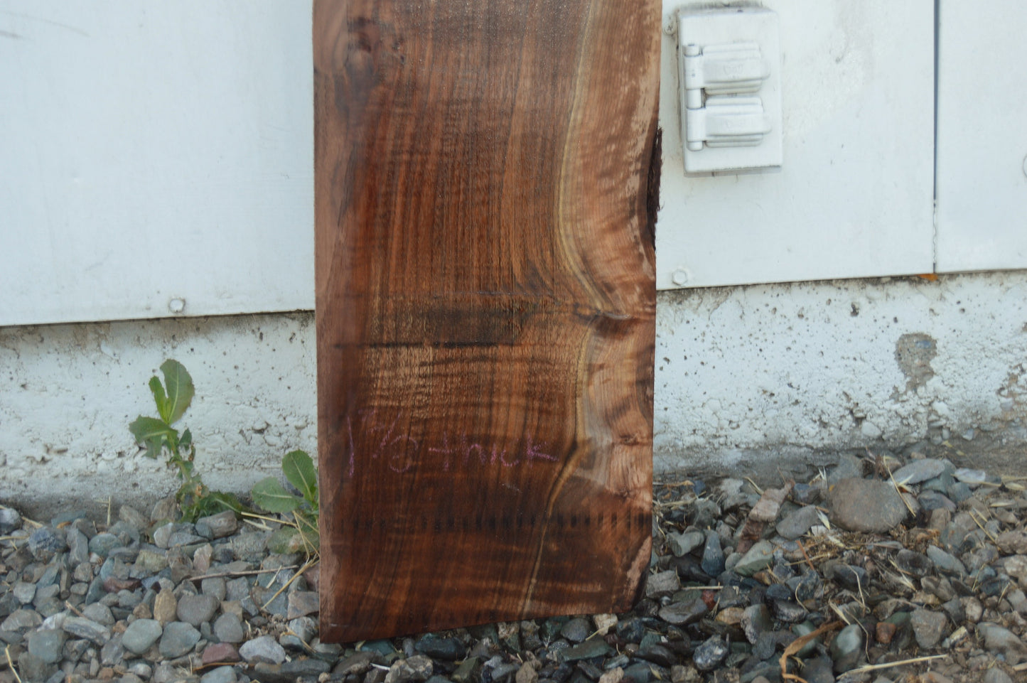 Claro Walnut Tonewood WALTON52