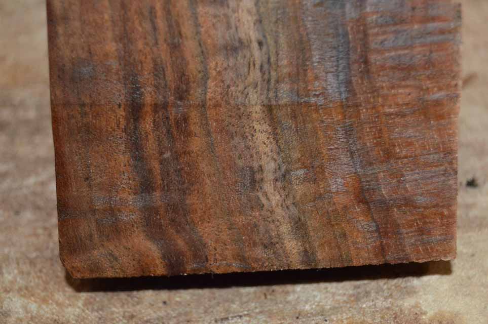 Claro Walnut Turning Blank CLATUR74