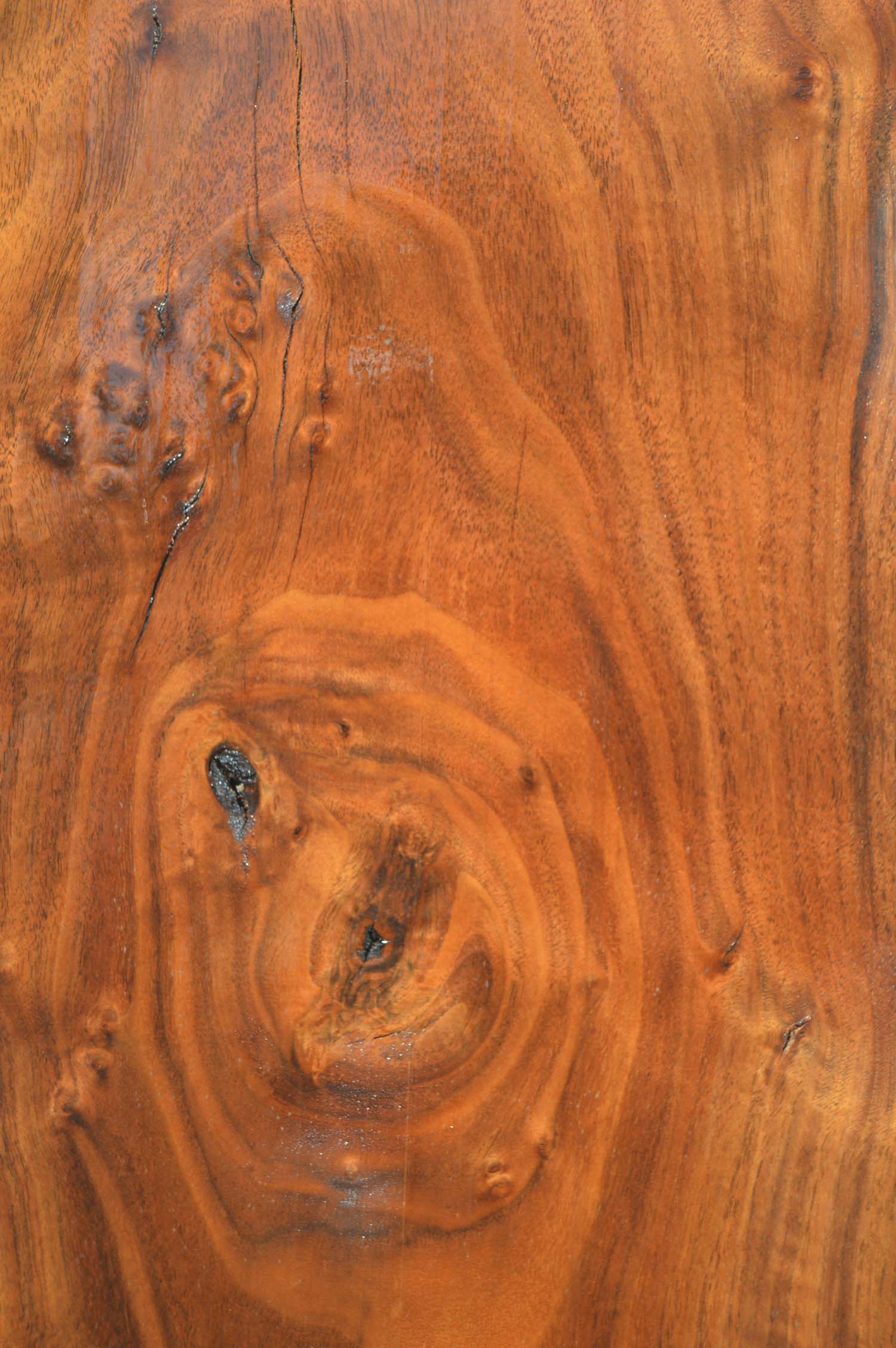 Claro Walnut Lumber CLALMB175