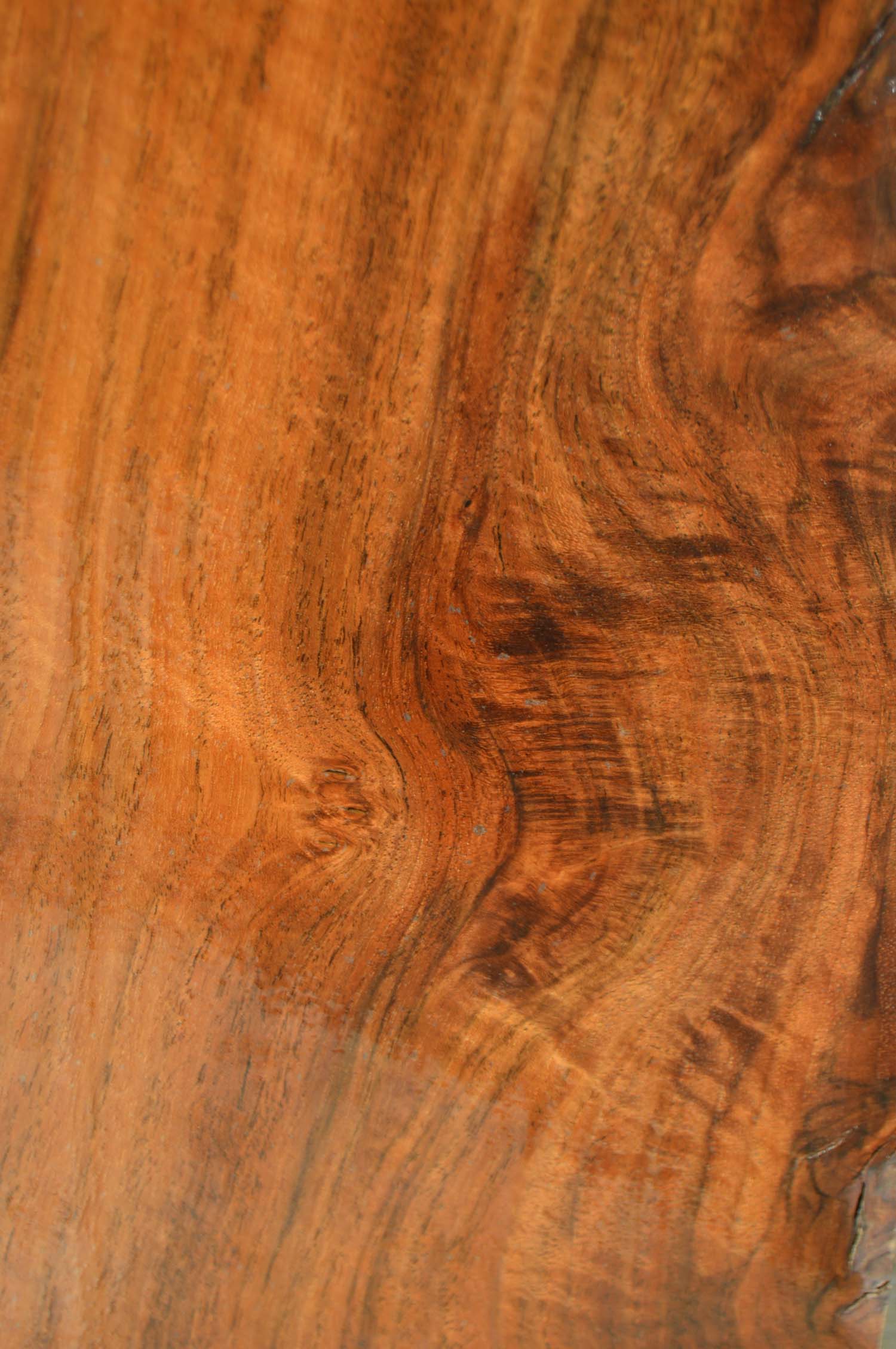 Claro Walnut Lumber CLALMB175