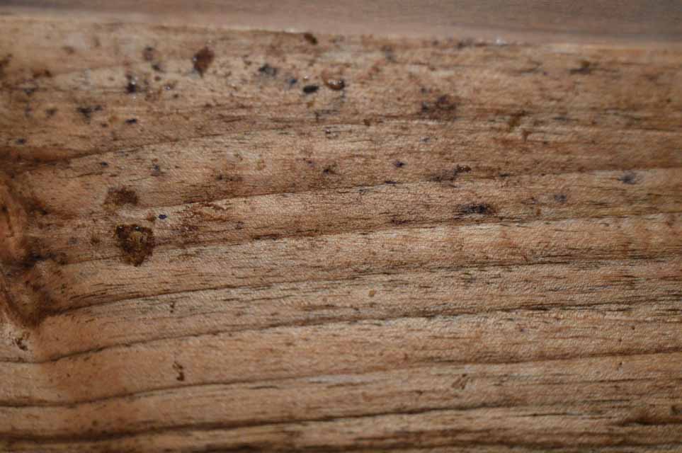 English Walnut Gunstock Blank ENGGUN86