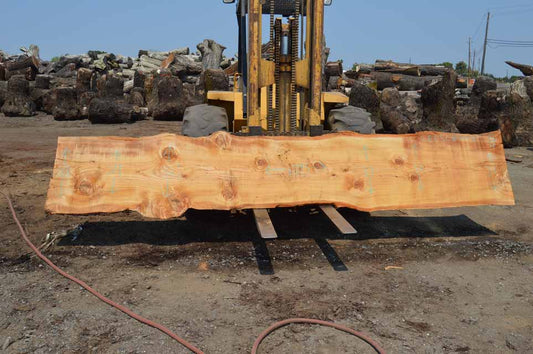 Cedar Slab CEDSLB10B