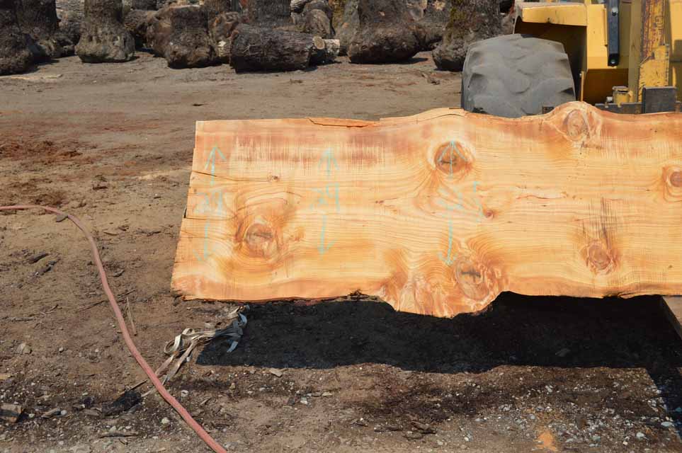 Cedar Slab CEDSLB10B