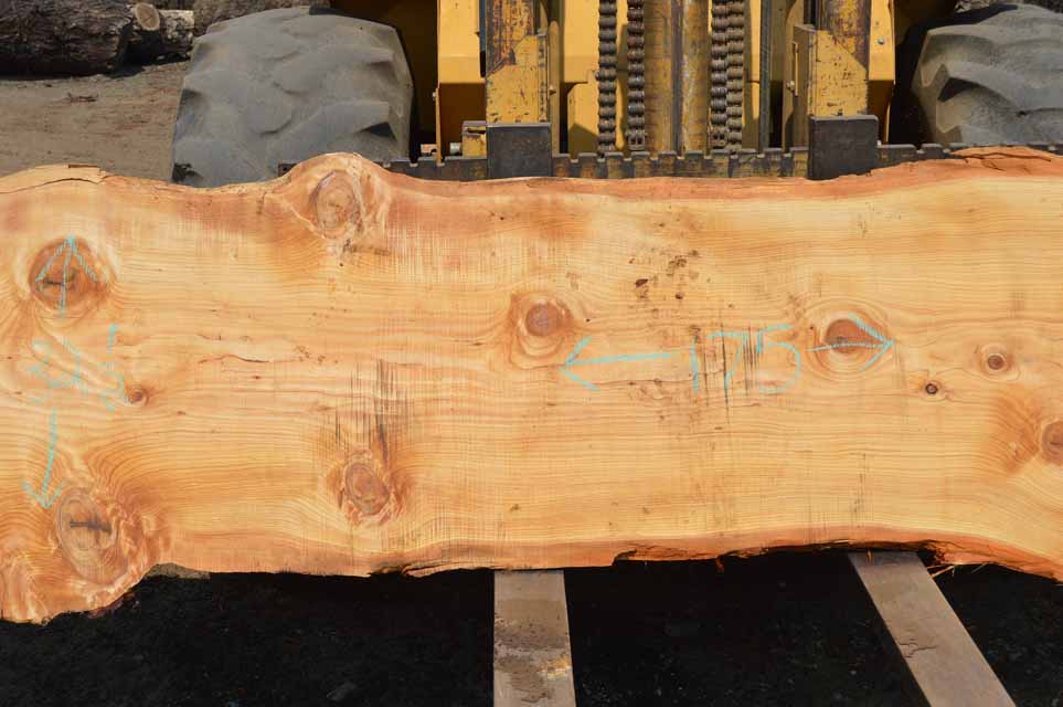 Cedar Slab CEDSLB10B