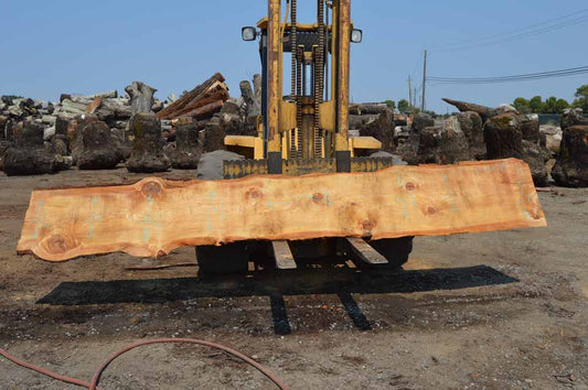 Cedar Slab CEDSLB10A