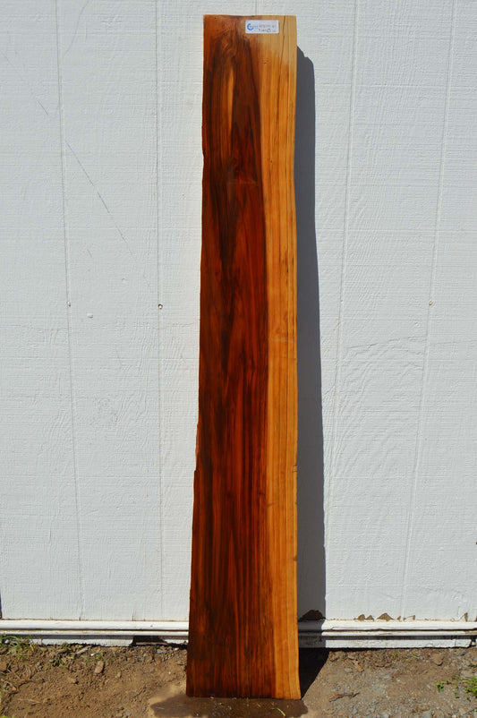 Redwood Board REDSPC21
