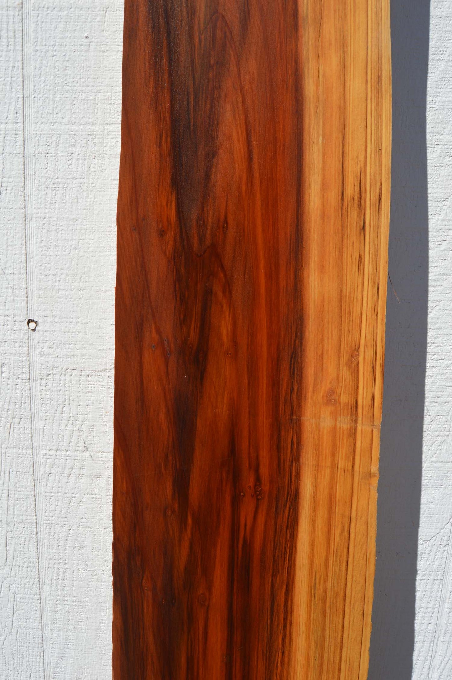 Redwood Board REDSPC21
