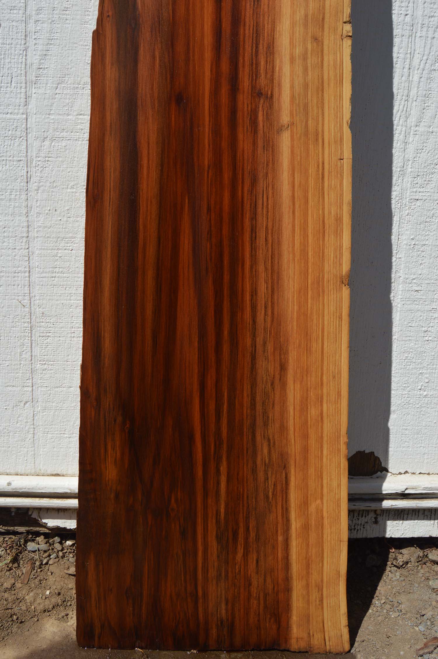 Redwood Board REDSPC21