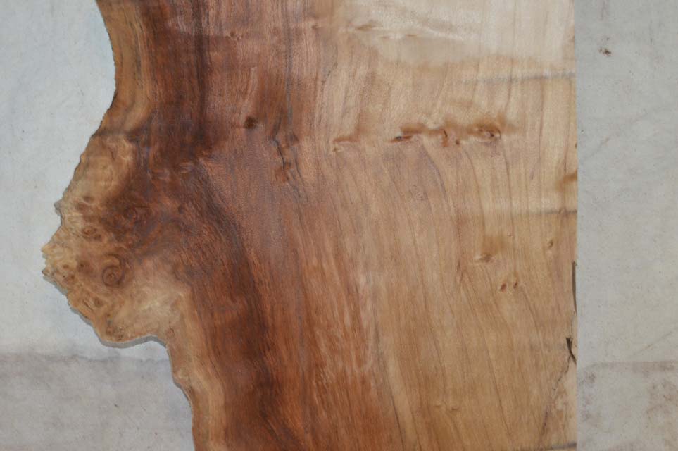 Cottonwood Board COTSPC24