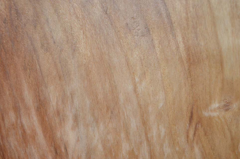 Cottonwood Board COTSPC24