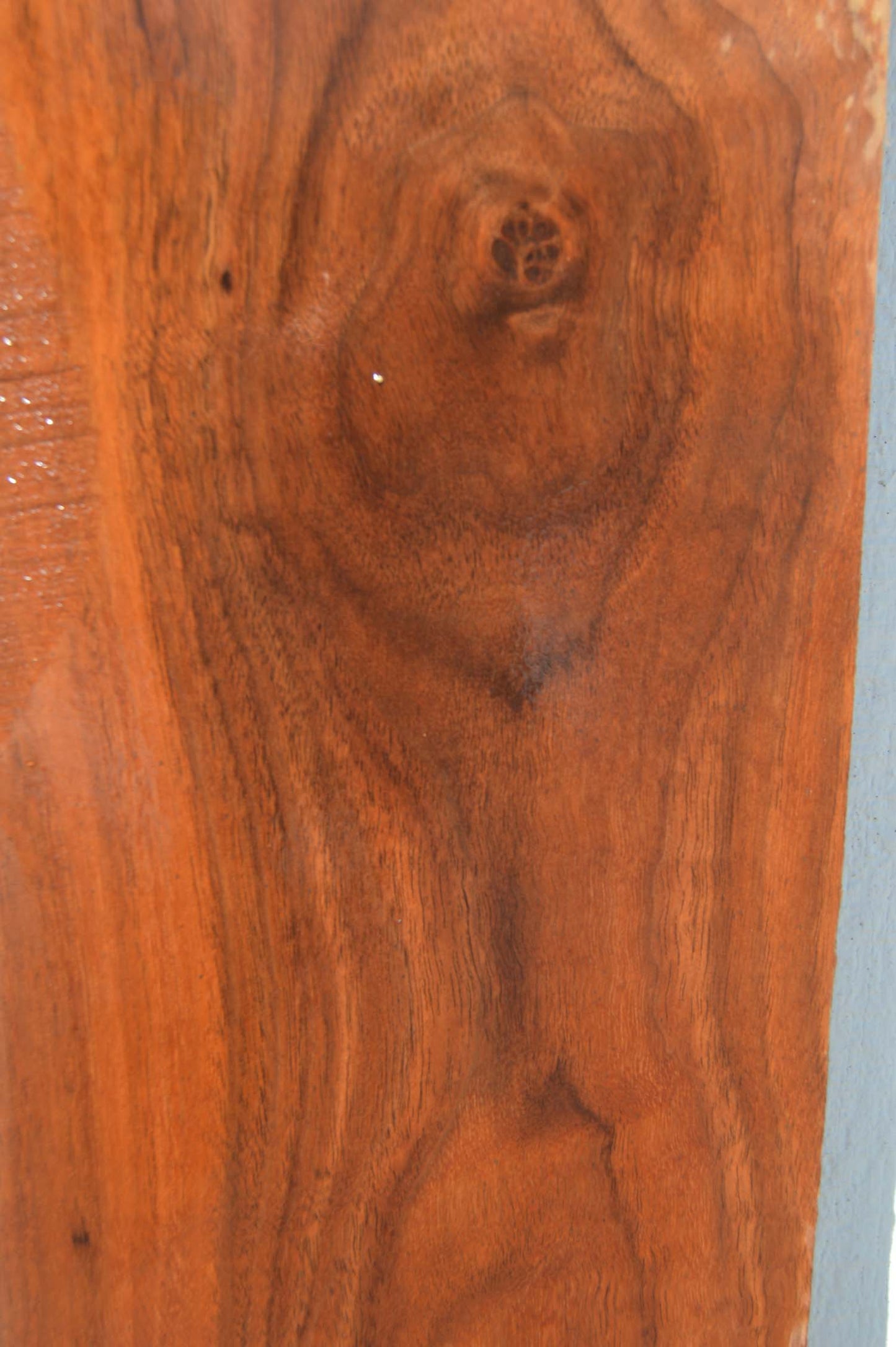 Claro Walnut Lumber WALLMB1A