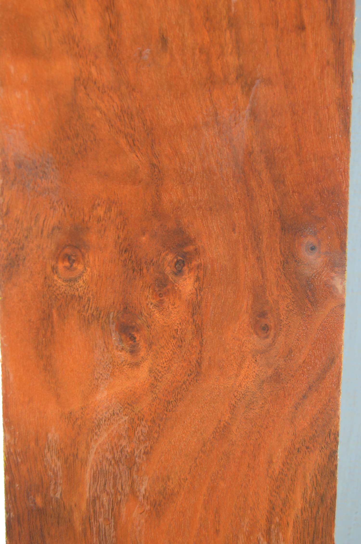 Claro Walnut Lumber WALLMB1B