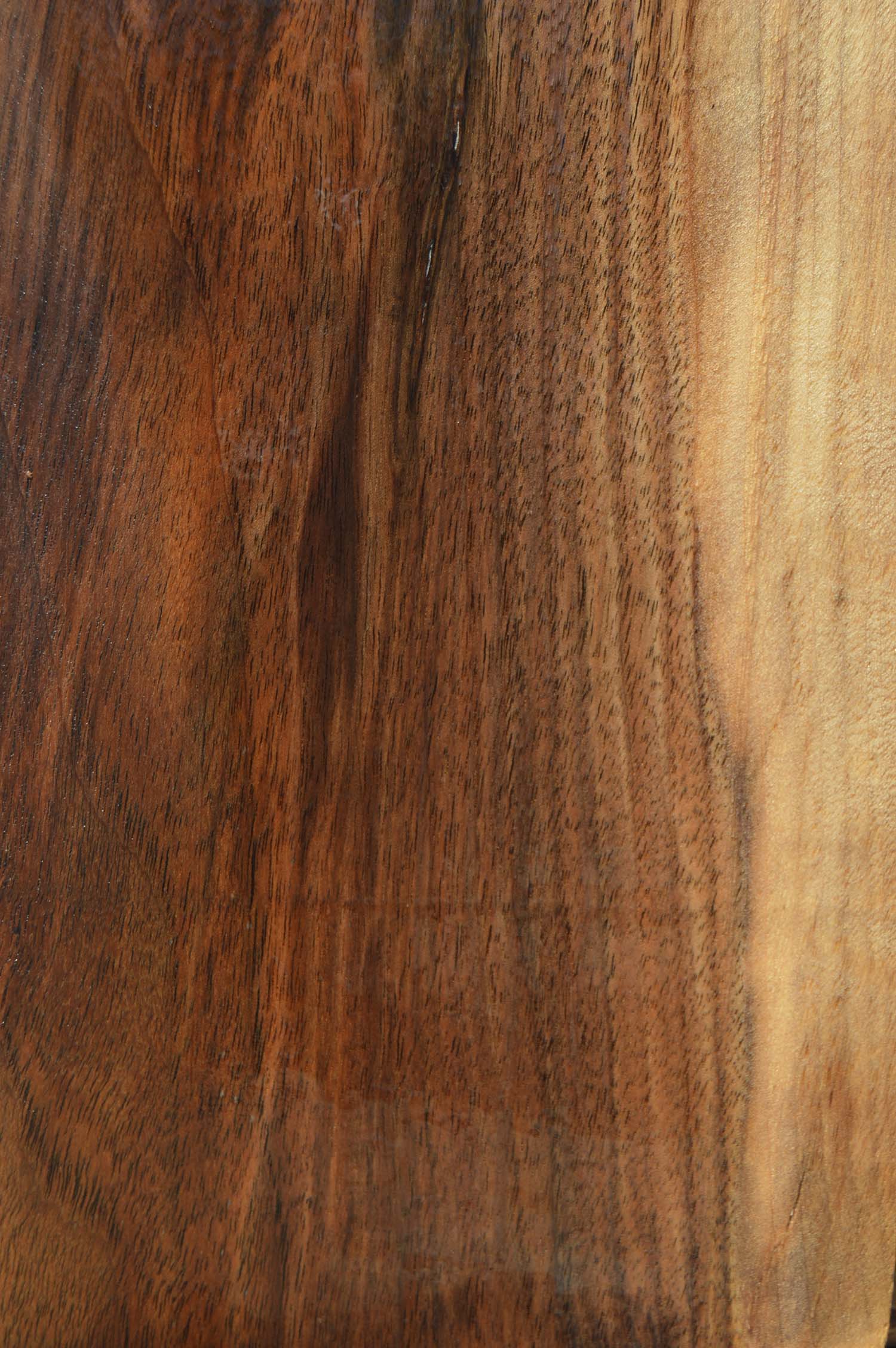 Claro Walnut Lumber CLALMB209