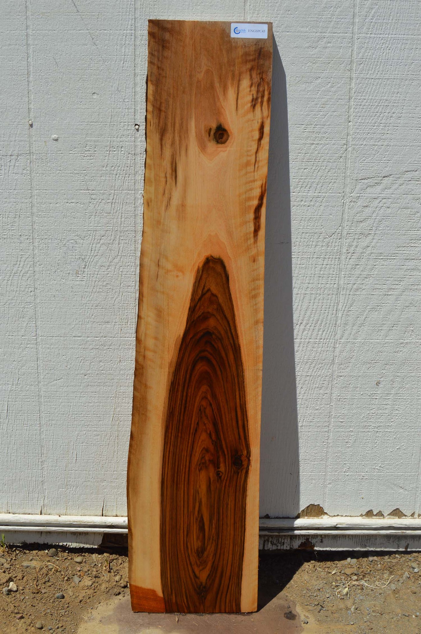 English Walnut Specialty Piece ENGSPC43