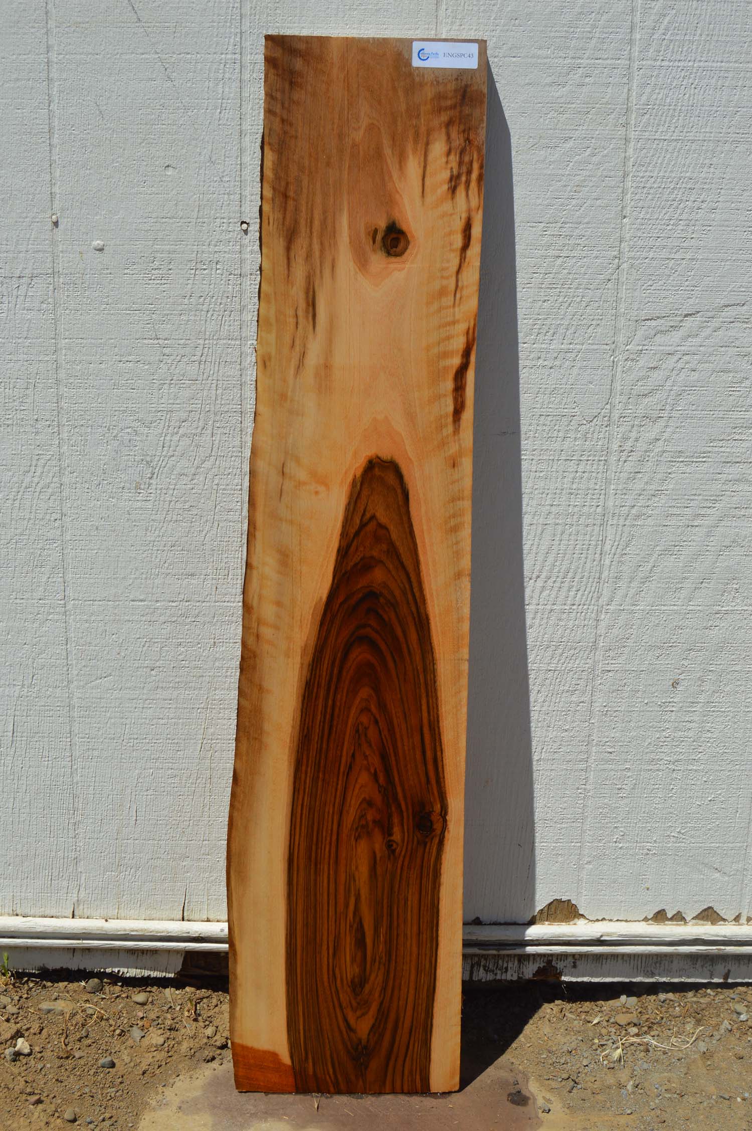 English Walnut Specialty Piece ENGSPC43