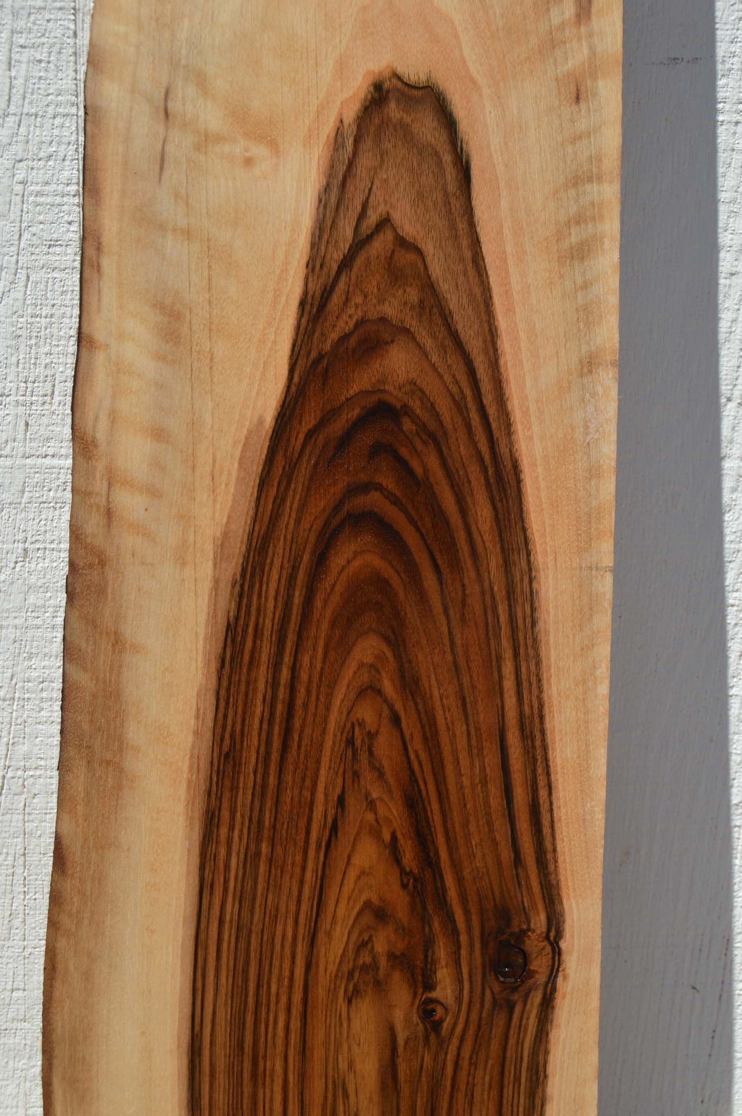 English Walnut Specialty Piece ENGSPC43
