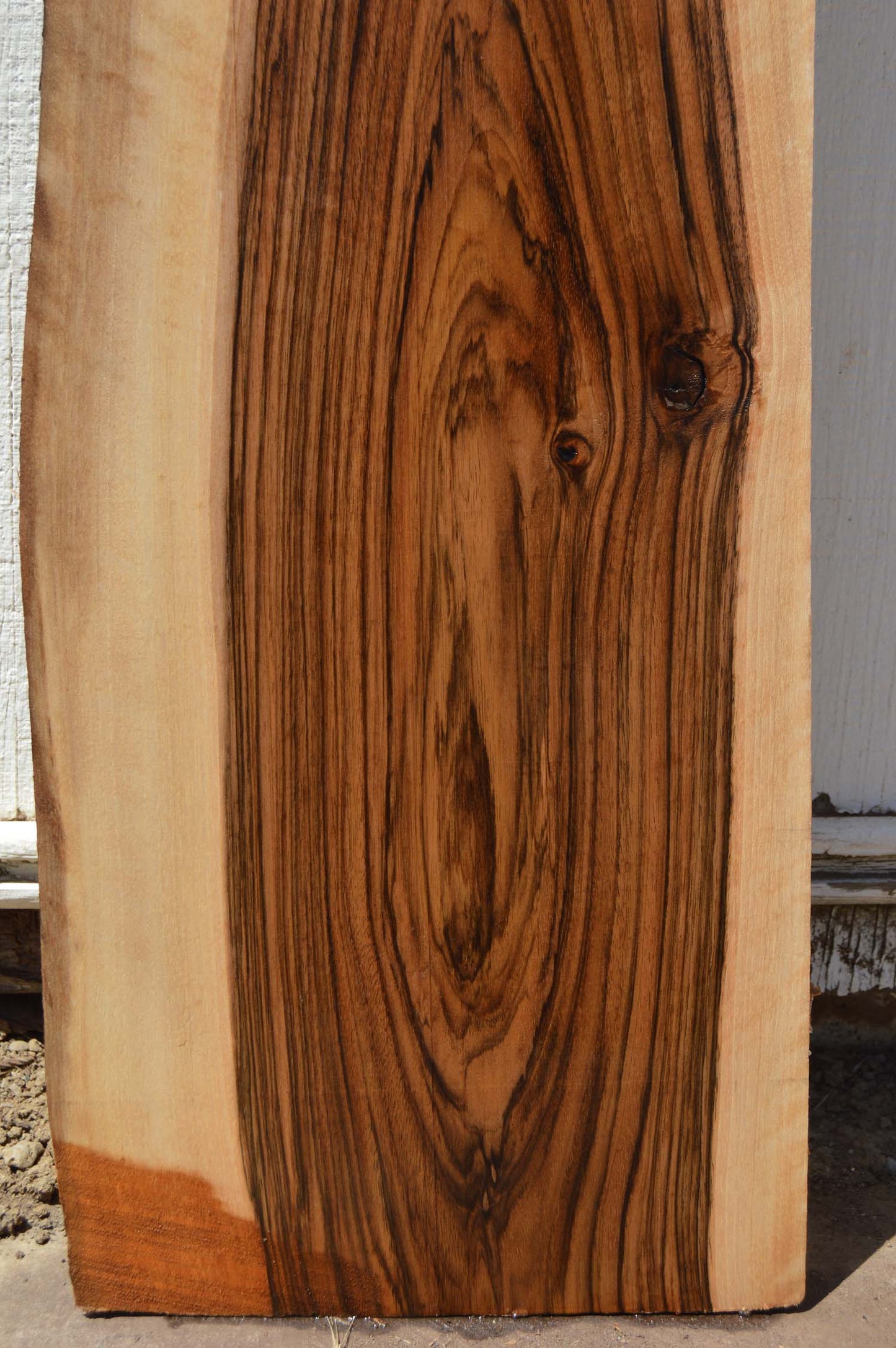 English Walnut Specialty Piece ENGSPC43