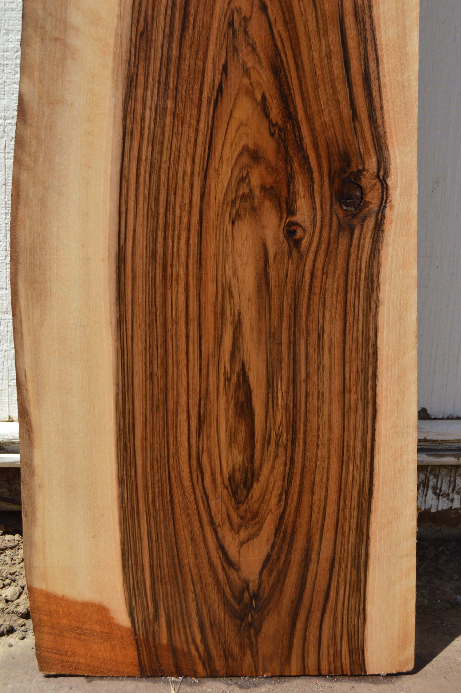 English Walnut Specialty Piece ENGSPC43